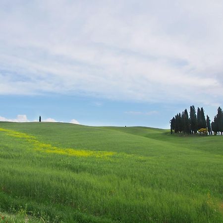 Agriturismo Santa Maria Torrita di Siena Exterior foto