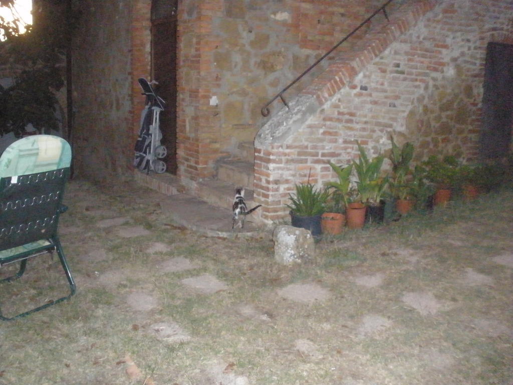Agriturismo Santa Maria Torrita di Siena Exterior foto