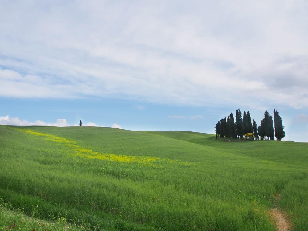 Agriturismo Santa Maria Torrita di Siena Exterior foto