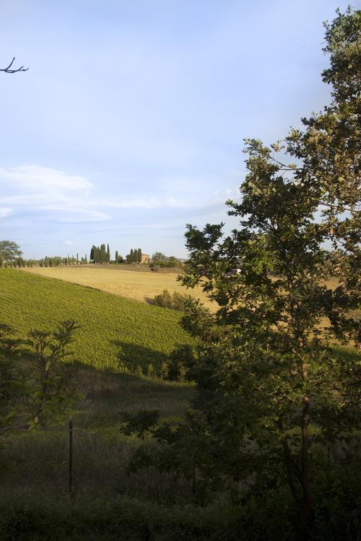 Agriturismo Santa Maria Torrita di Siena Exterior foto